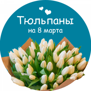 Купить тюльпаны в Талице